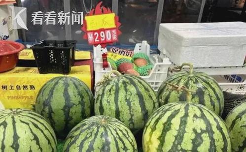 沙特瓜多少钱一斤今日行情,一斤价格揭晓