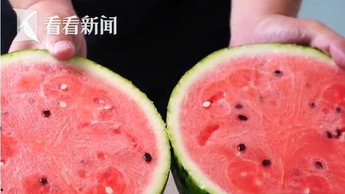 沙特瓜多少钱一斤今日行情,一斤价格揭晓