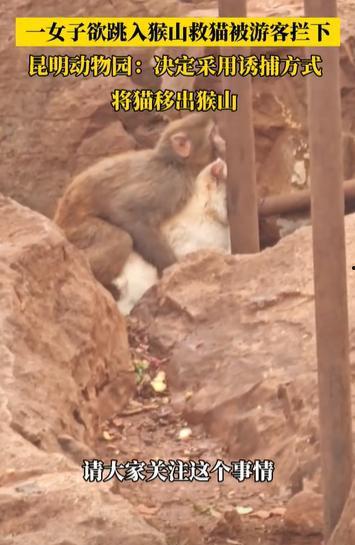 热门话题人与动物交配