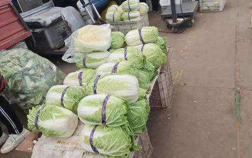 三月瓜多少钱一斤市场价今日,今日行情一览，一斤多少钱？”