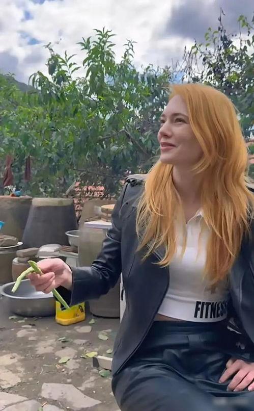 东北雨姐和明星网红,共绘跨界融合新篇章”