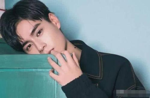 过气男明星网红有哪些,盘点过气男明星的转型之路