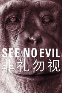 非礼勿视电影,揭秘电影背后的道德困境与人性挣扎