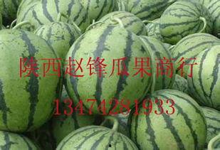 今日哈密瓜批发价格行情