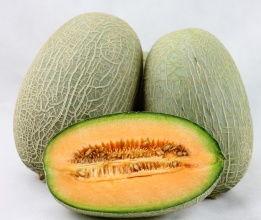 嘉兴批发市场哈密瓜今日销量,今日销量再创新高