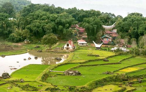 乡村风景视频 热门话题,探寻自然与人文交融的乡村风情