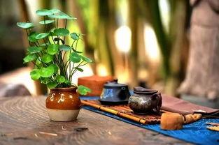 热门话题喝茶的意境句子,诗意人生——探寻喝茶的意境之美