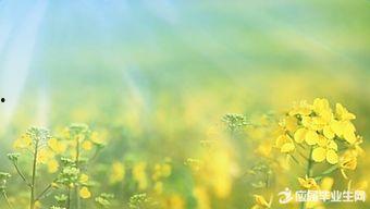 热门话题春天到了的说说