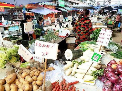 临猗三白瓜批发市场今日价格表,行情波动，品质瓜果备受关注”