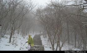 去年冬天的照片热门话题,那些刷爆朋友圈的温暖瞬间