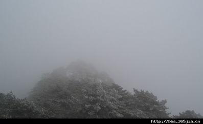 去年冬天的照片热门话题,那些刷爆朋友圈的温暖瞬间