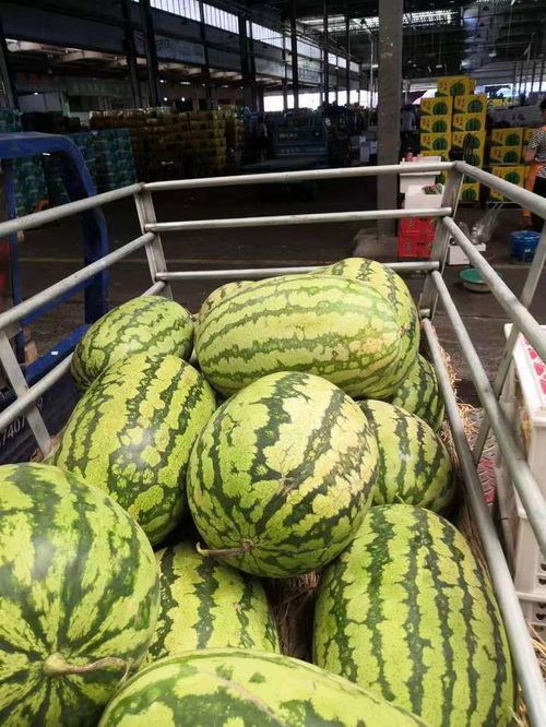 万邦水果市场今日价格麒麟瓜,价格行情一览